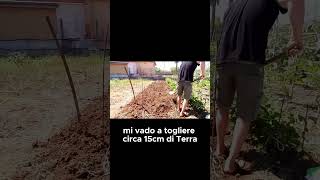 QUARTO STEP i passaggi pedonali e usarli come rialzo  GUARDA IL VIDEO COMPLETO shorts [upl. by Linker134]