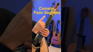 Camané  Fado Sagitário guitarraportuguesa fado fadosagitario camané [upl. by Spaulding]