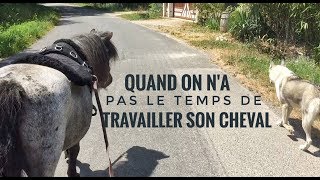 Je nai pas le temps de travailler mes poneys [upl. by Rafaela489]