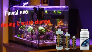 fluval evo 135 mixed reef dosing and water change [upl. by Asirb]