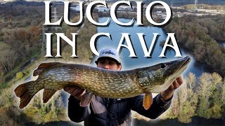 Pesca al LUCCIO in una CAVA abbandonata [upl. by Colly]