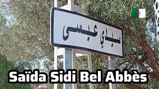 هنا تنتهي مغامرتنا اليوم مع المغني المشهور في المرة القادمة باذن الله ةSaïda Sidi Bel Abbès [upl. by Nirahs]