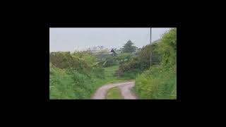 Driving Ireland at farm country side of KINSALE Beautiful view 17 May 2024 [upl. by Nylahsoj]