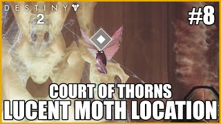 Lucent Moth Location  Court Of Thorns Destiny 2 [upl. by Siloa]