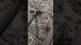 Carpet cleaning with my carpet extractor [upl. by Scharf]