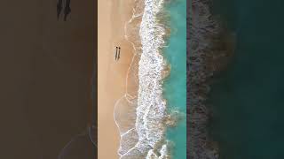 World Ocean Day  Shadows on the Beach [upl. by Dickey]