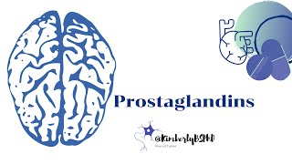 What ARE Prostaglandins [upl. by Tawney865]