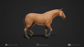 Horse Trotting Animation Captivating Quadruped Movement [upl. by Bourque]