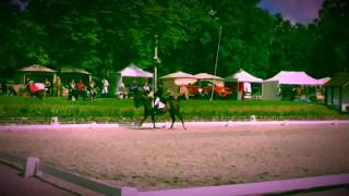 Pro Elite Pamfou Dressage 2016 [upl. by Onilecram]