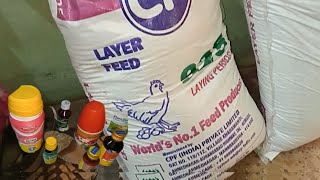 Layer feed  Rir murgi ke liye layer feed  Layer chicken farming  Ghar ke piche desi murgi palan [upl. by Nagorb374]