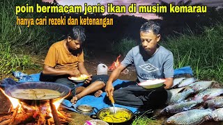 POIN BERMACAM JENIS IKAN SPOT INI HARUS DI ULANG [upl. by Amarillis]