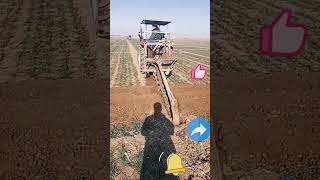 Trenching process for agricultural fields [upl. by Phylis163]