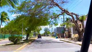 Cozumel Mexico in a jeep 2024 [upl. by Boelter]