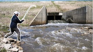 Big Fish Beneath the Spillway [upl. by Sprung499]