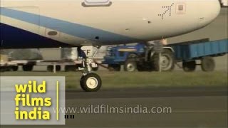 Indigo plane takes off while Air India Airbus berths and Jet takes off [upl. by Obnukotalo]