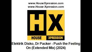 Elektrik Disko Dr Packer  Push the Feeling On Extended Mix 2024 [upl. by Letti]