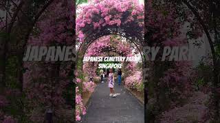 Japanese cemetery Singapore 🇸🇬 [upl. by Gnurt]