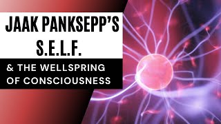 Jaak Paanksepp’s SELF amp The Wellspring of Consciousness [upl. by Dodie]