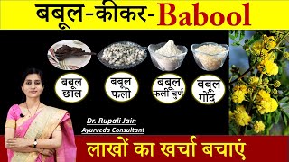 Amazing Health Benefits of बबूल कीकर Babool  सही आयुर्वेदिक सेवनविधि जरुरी  बबूल फली Powder [upl. by Seaton]