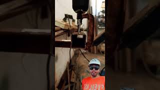 Drill screws tools satisfying construction [upl. by Mcgrody]