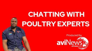 Chatting with poultry experts  Mr Alleen Magumbi  WPC 2022 [upl. by Rubie]