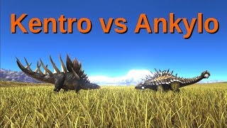 Kentrosaurus VS Ankylosaurus  ARKSurvival Evolved [upl. by Aserehc]