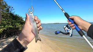 Fishing for SALTWATER GIANTS with LIVE BAITFISH Beach Jetty Kayak Fishing [upl. by Dirk]