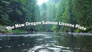 Oregon Salmon Vehicle Plate [upl. by Bred348]