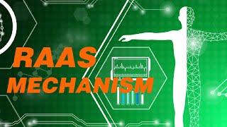 quotRAAS Mechanism Explained A Comprehensive Guidequot quotHow the RAAS System Regulates Blood Pressurequot3 [upl. by Janos]