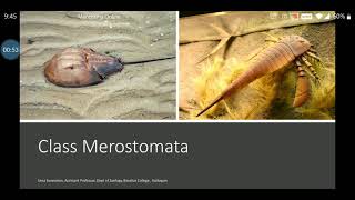 Class Merostomata of Subphylum Chelicerata  Limulus  malayalam explanation [upl. by Niwroc]