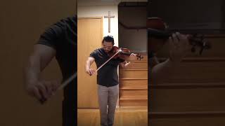 Wieniawski  Variations of an Original Theme op15 [upl. by Ottavia640]