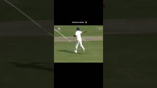 Alistair Cooks Brain FadeOut or Not Out shorts foryou fyp cricket india english [upl. by Delphinia]