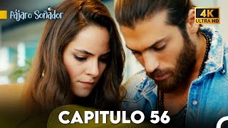 Pájaro Soñador Capítulo 56 Doblado En Español 4K [upl. by Allys117]