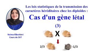 SVTBacBiof Les lois statistiques de la transmission des caractères  Cas dun gène létal [upl. by Niccolo519]