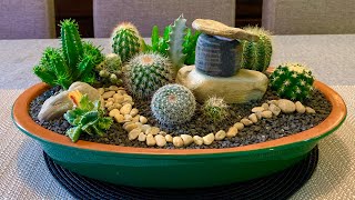 Cacti and Succulents Arrangement [upl. by Goodman]