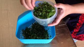 Como congelar cilantro para tus recetas [upl. by Nidroj478]