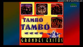 TAMBO TAMBO 20 GRANDES EXITOS  CUMBIA DEL RECUERDO [upl. by Ydaj]