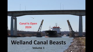 Welland Canal Beasts  Volume 1  Canal Is Open 2024 [upl. by Oicangi]