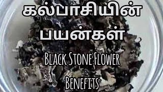 கல்பாசியின் பயன்கள் I kalpasi benefits in tamil I Black stone flower I sivasakthi [upl. by Ecal]