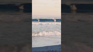 Surfer les paysages et les vagues de Nova Scotia 🇨🇦 shorts ocean surf beach travel sailboat [upl. by Notlek]