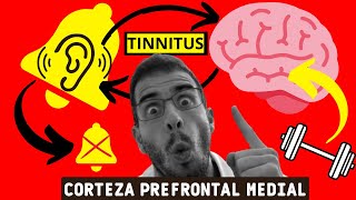 ✅ MEDITACIÓN  MINDFULNES🧠 y TINNITUS [upl. by Sined]