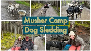 Musher Camp Dog Sledding in Skagway Alaska  Norwegian Alaska Cruise  Cruise Excursion [upl. by Sucramd]