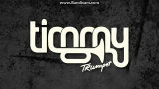 Timmy Trumpet Toca [upl. by Ettelrats]