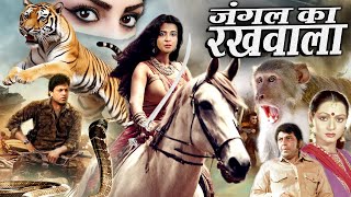 JUNGLE KA RAKHWALA Movie 2024 मै जंगल की रक्षा के लिये किसी की जान ले भी सकता हूँ Royal Star Movies [upl. by Dolloff474]