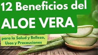 12 beneficios de la sábila Beneficios para la Salud y Belleza [upl. by Gildus992]