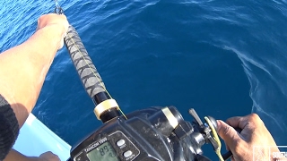 Daiwa Tanacom Electric Reel vs Huge Tiger Shark [upl. by Enitsirc]