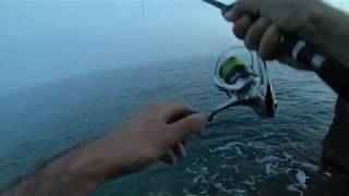 Barracuda spinning on Duo Tide Minnow Slim 140 Flyer [upl. by Salguod52]