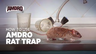 How to Use Amdro Rat Trap [upl. by Ecnedurp]