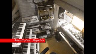 TremorTryOuts  Mega Dub Techno  TR909 Juno 106 [upl. by Haakon]