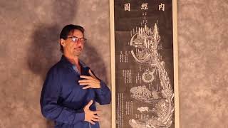 Nei Jing Tu  Full Translation Part 2 of 8 Back of Neck  Opening to Flow [upl. by Bindman289]